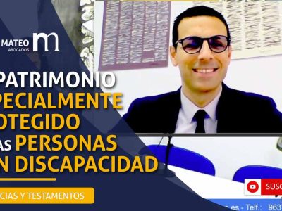 El patrimonio especialemnte protegido de las personas con discapacidad